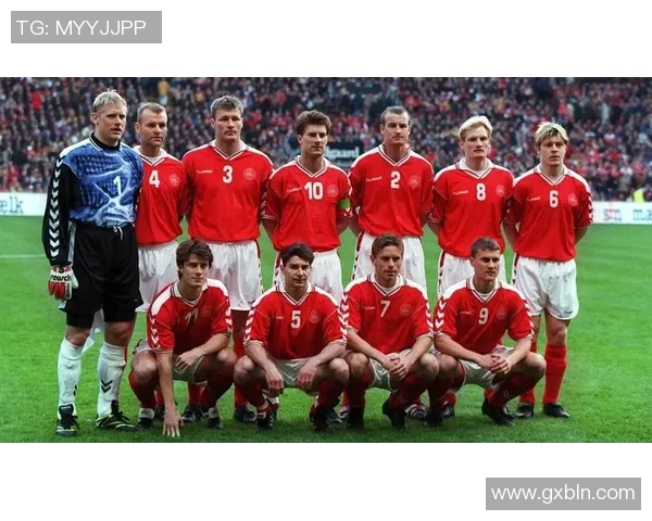 爱尔兰与丹麦足球队激战正酣谁能在这场对决中笑到最后